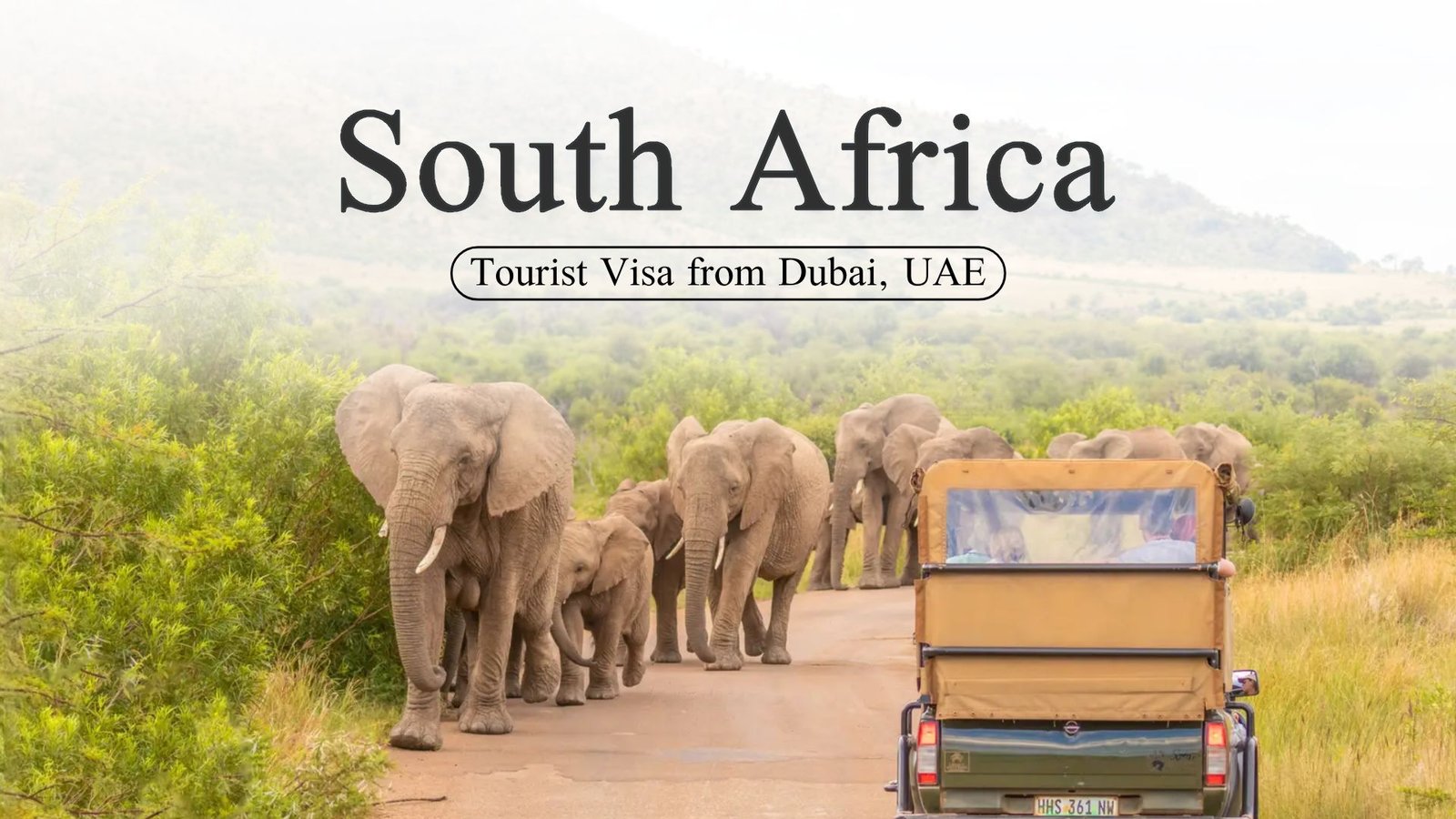 How to Apply for a South Africa Visit Visa from Dubai, UAE: Complete Guide